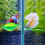 Fake Silicone Betta Fish Leaf Hammock, Pad with Suction Cup, Fish Resting Spot, Bed for Tank