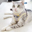 Reflective Pet Cat Harness and Leash Set for Cats Gotas Sphynx Harnesses Walking Dog Leash mascotas Accesorios szelki dla kota