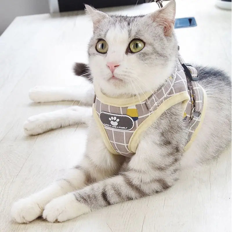 Reflective Pet Cat Harness and Leash Set for Cats Gotas Sphynx Harnesses Walking Dog Leash mascotas Accesorios szelki dla kota
