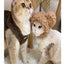 Cat clothes, warm lamb wool vest, autumn and winter teddy pomeranian pet winter clothes, cute korean clothes