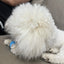 Cat Interactive Ball Smart Pet Cat Toys Indoor Automatic Rolling Magic Ball Electronic Interactive Cat Toy Cat Game Accessories