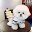 Dog Sweater for Small Dogs Luxury Dog Clothes Striped Pet Cardigan Knitted Coat Chihuahua Costume Bichon Clothing Puppy Jacket