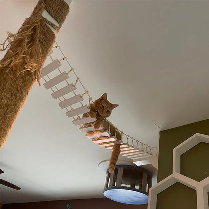 Cat Wall Shelves 100CM Long Cat Bridge for Indoor Cats Climber Cloud Shelf Kitty Bed and Perches Wooden Cat Wall Furniture