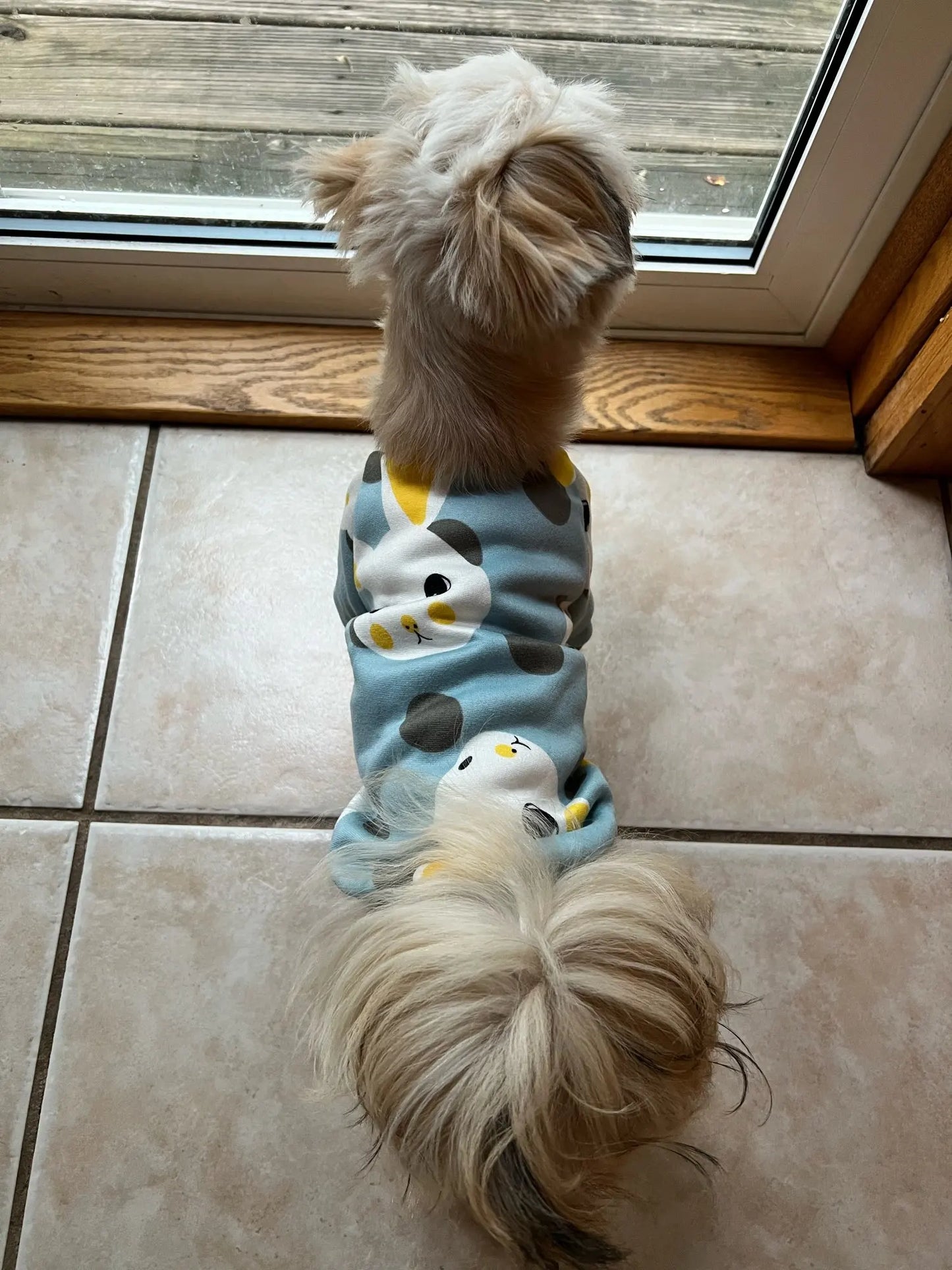 Xs Dog Clothes for Small Dogs Girl Puppy Clothing for Small Dogs Boy Cat Jacket Personalise Pet Shirts for Pug Chihuahua Bulldog