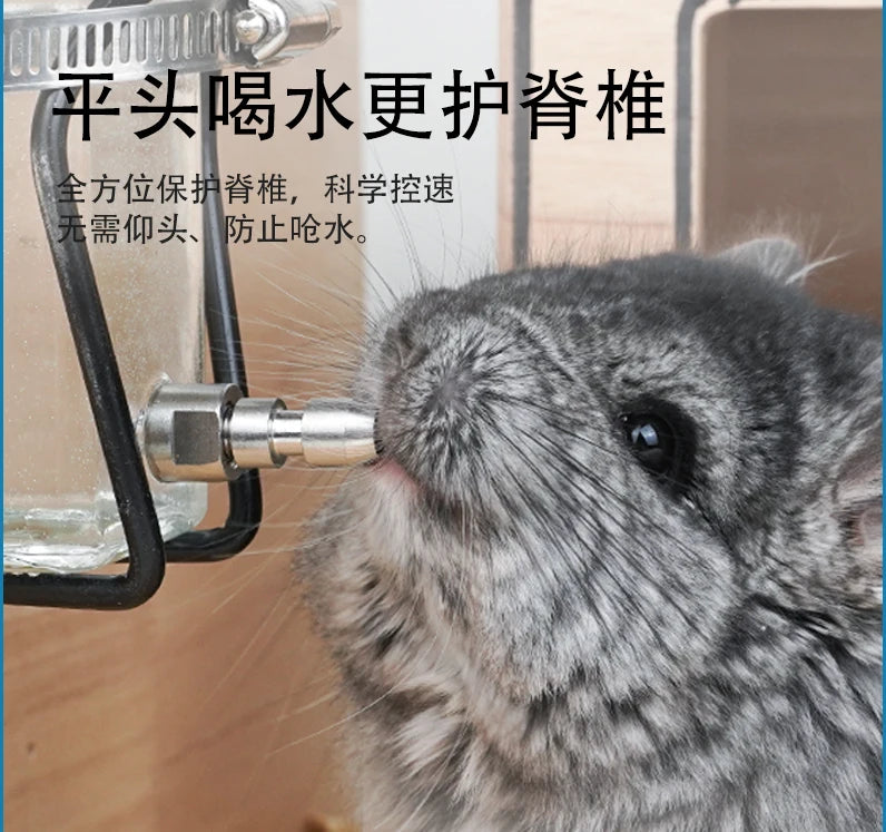 Silent Fine Needle Stainless Steel Striking Needle Water Bottle, Dragon Cat Beige Long Hair  Feed Water, Drinking Bottle