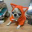 Newest Dog Cat Hoodie Sweater Winter Warm Pet Clothes for Cats Gotas Clothing Sphynx Kitten Persian Sweatshirt mascotas Costume