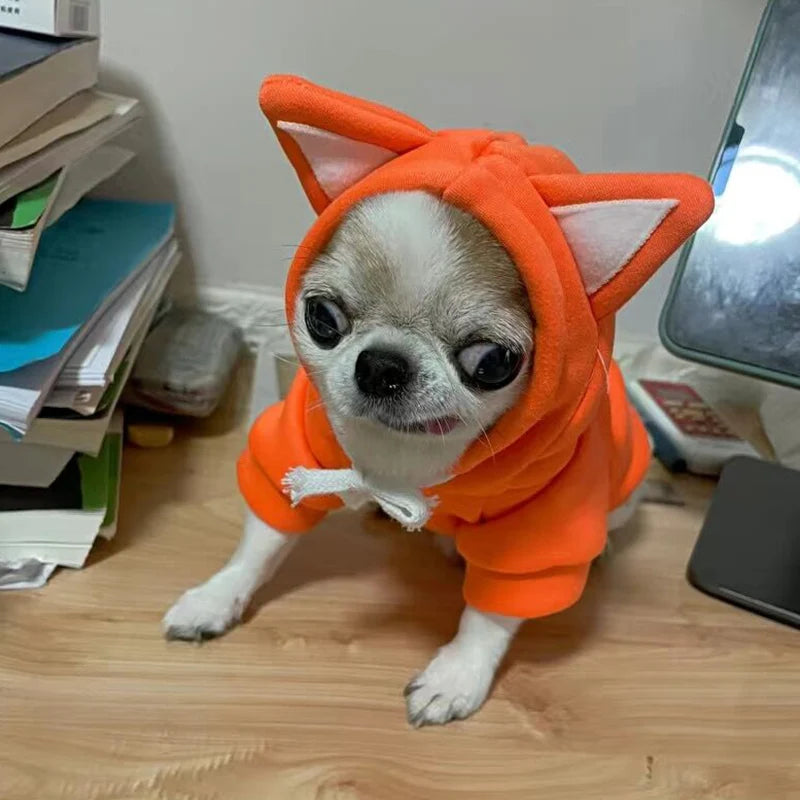 Newest Dog Cat Hoodie Sweater Winter Warm Pet Clothes for Cats Gotas Clothing Sphynx Kitten Persian Sweatshirt mascotas Costume