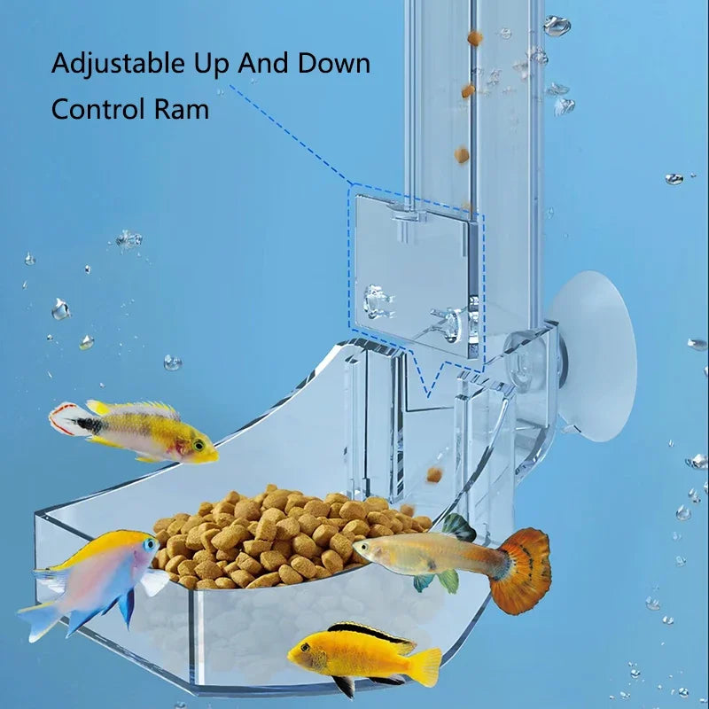 1Set Acrylic Aquarium Feeder Tube Dish Transparent Fish Tank Shrimp Snail Shrimp Food Feeder Bowl Aquarium Feeding Accessories