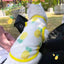 Cute Thin Summer Dog Vest Bear Print Dog Clothes Puppy Costume Chihuahua Bichon Sunscreen Cat Dog Cooling Vest Grils Dog T-Shirt