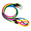 1Pcs Rainbow Nylon Dog Leash Training Dog  Personalized Leash Lead Strap Collar 130cm High Quality Dog Harness Color Randomly