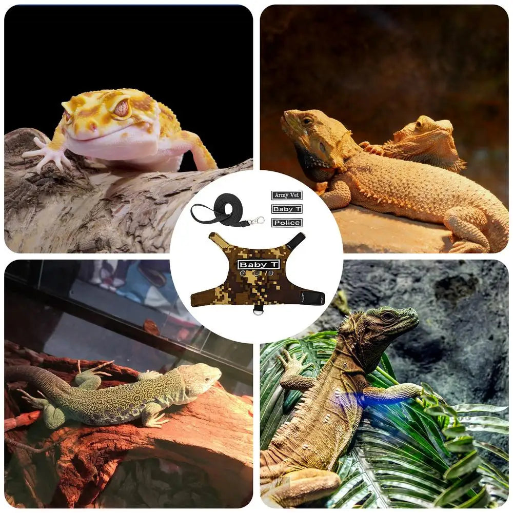 Bearded Dragon Leashes Escape Proof Adjustable Lizard Reptiles Harness Bearded Dragon Harness Leashes Adjustable Lizard Ropes