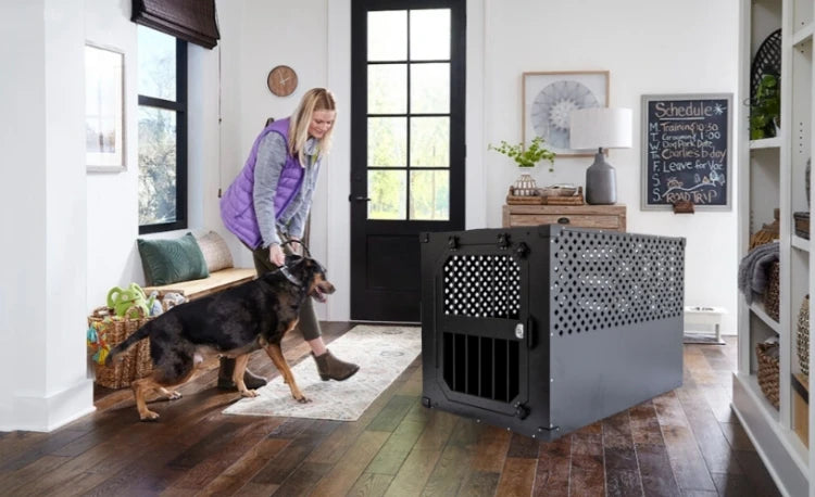 Dog Kennels Customized Size Raised Luxury Aluminum