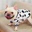 1Pc Small Dog Autumn/Winter Flannel Pet Clothing Cute and Warm Teddy Cat Clothing Comfortable