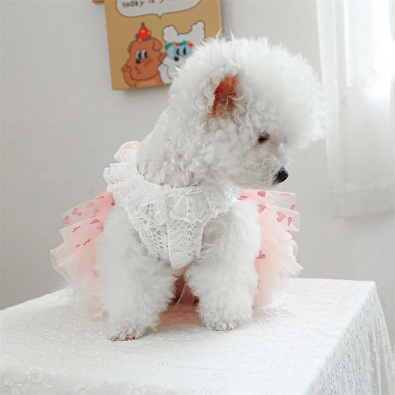 Bow Tie Female Fancy Dresses for Medium Dogs Pink Veil Romantic Heart Print Spring Puppy Tutu Skirt Lace Wedding Cat Clothing