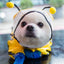 Small Dog All-Body Waterproof Raincoat Funny Animal Shaped Pet Puppy Raincoat Dog Rain Coat Hooded Clothing Outdoor Reflective