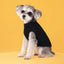 Puppy Cat Sweater Winter Warm Pet Clothes for Small Dogs Chihuahua Vest French Bulldog Knitted Sweater Schnauzer Kitten Costume