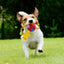 Dog Treat Hiding Toy Snuffle Ball Interactive Slow Feeder Treat Toy Slow Food Training Sniff Ball Dog Exquisite Comfortable
