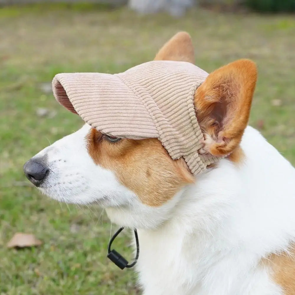 Dog Hat with Ear Holes Pet Dog Sport Cat Fashionable Travel Hat Breathable Pet Outdoor Sunbonnet UV Protection for Outdoor All