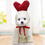 Cute Fruit Pet Costume Dog Clothes for Small Dogs Warm Fleece Doggy Hoodies Pet Dog Cat Clothing Puppy Sweater for Chihuahua Pug