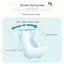 Pet Diapers, Puppies' Menstrual Diapers, Male Dogs, Female Dogs, Physiological Pants