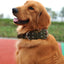 Heavy Duty Wide Military Thick Dog Collars for Large Dogs Adjustable Strong Nylon Tactical Pet Collar with 2-Rows Metal Buckle