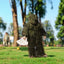 5Pcs Adult Ghillie Suit Hunter Camouflage Clothing gillie suit Hunting Suit Birding Clothes