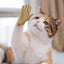 Mini Hands For Cats Paws Mini Finger Puppets Fake Small Finger Hand Puppet Fake Hand Toy Silicone Dog Funny Finger Puppets