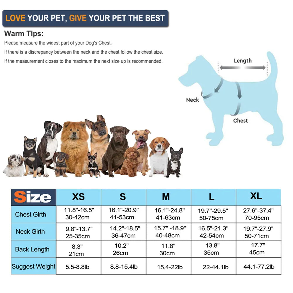 Dog Life Jacket Wings Design Pet Life Vest Dogs Flotation Lifesaver Preserver Swimsuit with Handle for Swim Pool Beach Boating