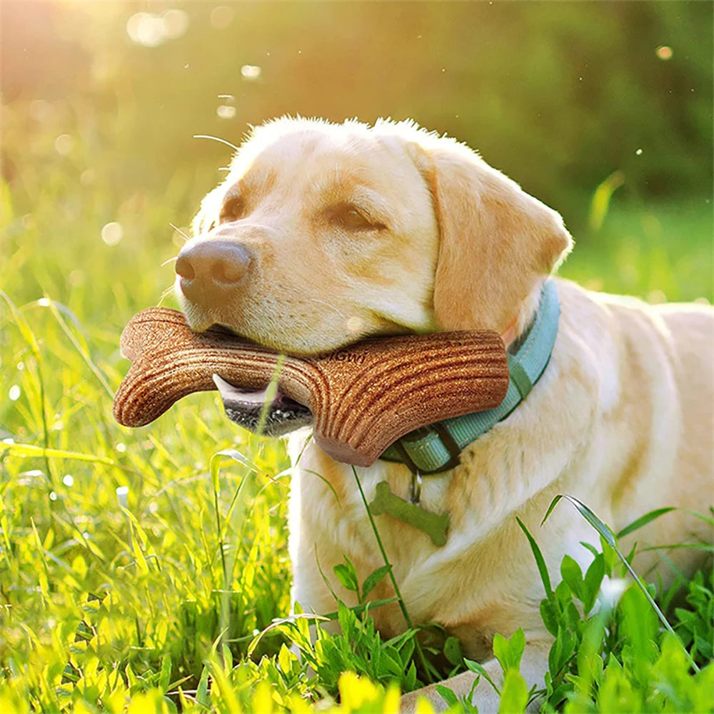 Gigwi Dog Chew Toys Real Wooden Deer Antlers for Aggressive Chewers Large Dog Chewing Indestructible Tough Durable Pet Toys Gift