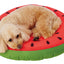Petio, Cold Ice Cushion, Dog Ice Cushion, Cat Summer Cooling Kennel Pet Mat