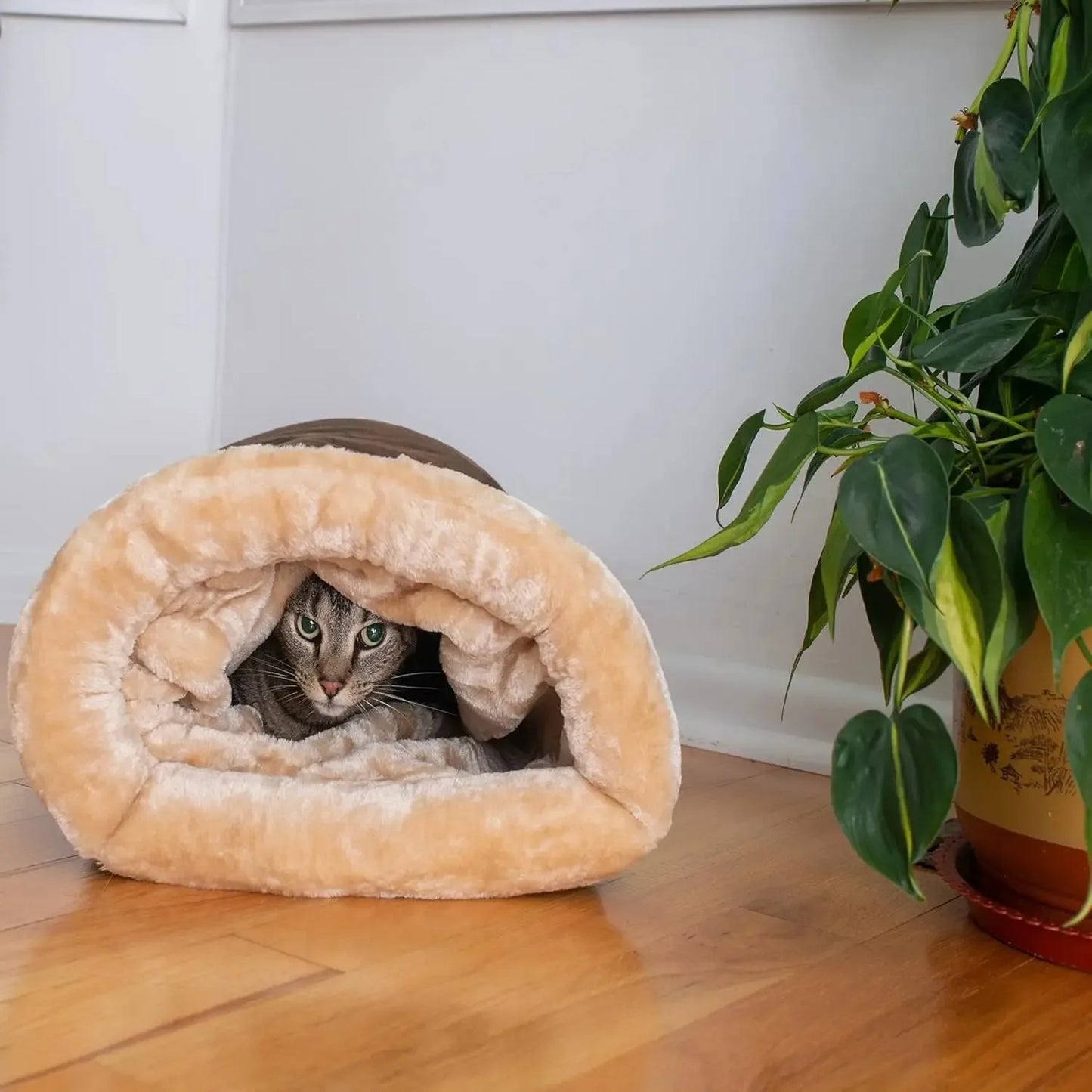 Pet Supplies Goods for Cats Accessory Houses and Habitats Cushions House Accessories Basket Dog Bed Puppy Things Mat Products