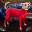 Four Feet Lightweight Pajamas Pure Dog Jumpsuits Tight Dog Coat Nursing Clothes Bodysuit For Small Medium Large Dogs Pet Costume