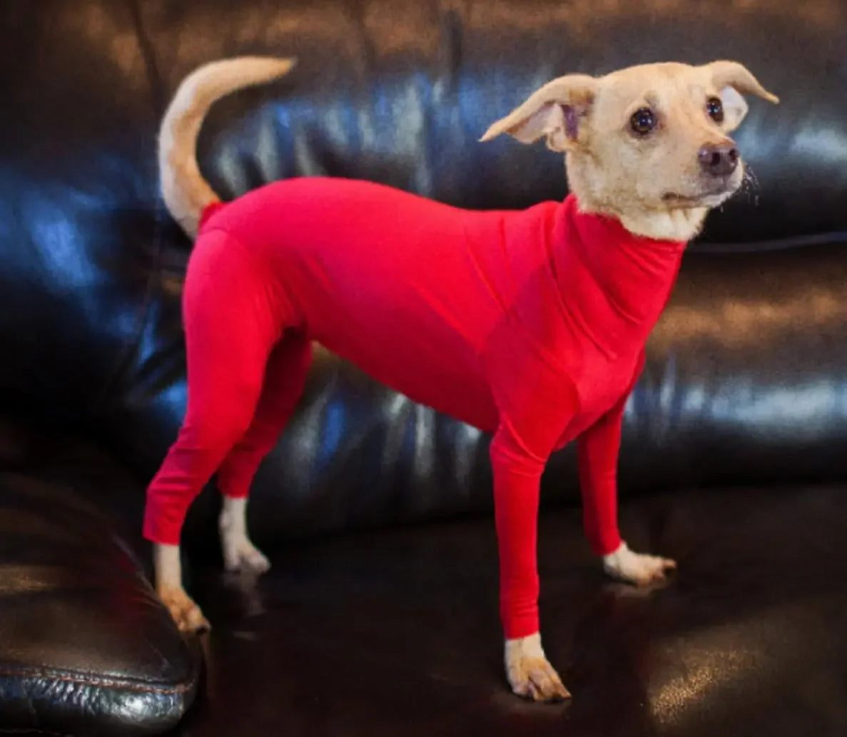 Four Feet Lightweight Pajamas Pure Dog Jumpsuits Tight Dog Coat Nursing Clothes Bodysuit For Small Medium Large Dogs Pet Costume