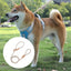 Dog Leashes Nylon Pet Leashes Heavy Duty Rope Leashes Mountain Climbing Rope Dog Leashes For Any Pets Playing Camping Beach Lake