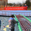 GYX Seesaw Agility Training Tool Will Challenge Dogs of All Breeds to Balance and Gain Control Over the Dog Park Equipment