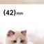 Cat Interactive Ball Training Self-moving Kitten Electric Cat Ball Tovs Elect ronic Automatic Rolling Magic Ball Toys for Cat