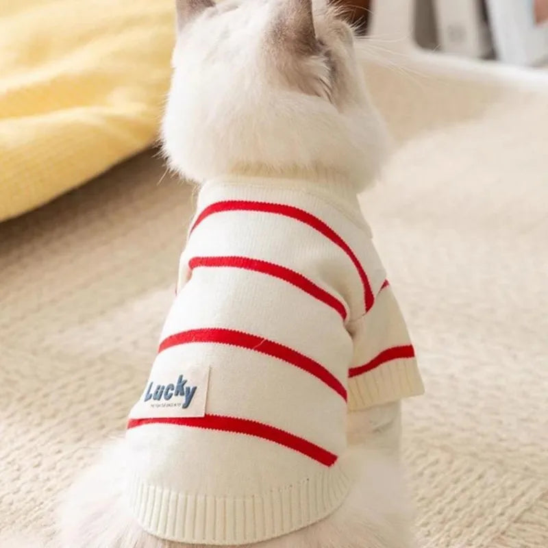 Dog Sweater for Small Dogs Luxury Dog Clothes Striped Pet Cardigan Knitted Coat Chihuahua Costume Bichon Clothing Puppy Jacket