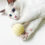 EW Gravitational Barking Ball Teaser Cat Stick Mint Ball Toy EW Gravitational Barking Ball Teaser Cat Stick Mint Ball Toy