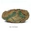 1pcs Aquarium Decorations Resin Fossil Artificial Fish Tank Ornament Shrimps Small Fish Reptile Aquarium Shelter Landscape Decor