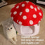Pet  Warm Bed Cave Nest Mushroom Shape Cat Winter Tent Warming Puppy House Cozy Kitten Sleeping Tent Cave Beds For Small Pets