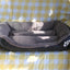 Pet Dog Bed Clearance 2025 Non Use Limited Stock Small Medium York Dog Sleeping Napping Mattress Winter Warm Home