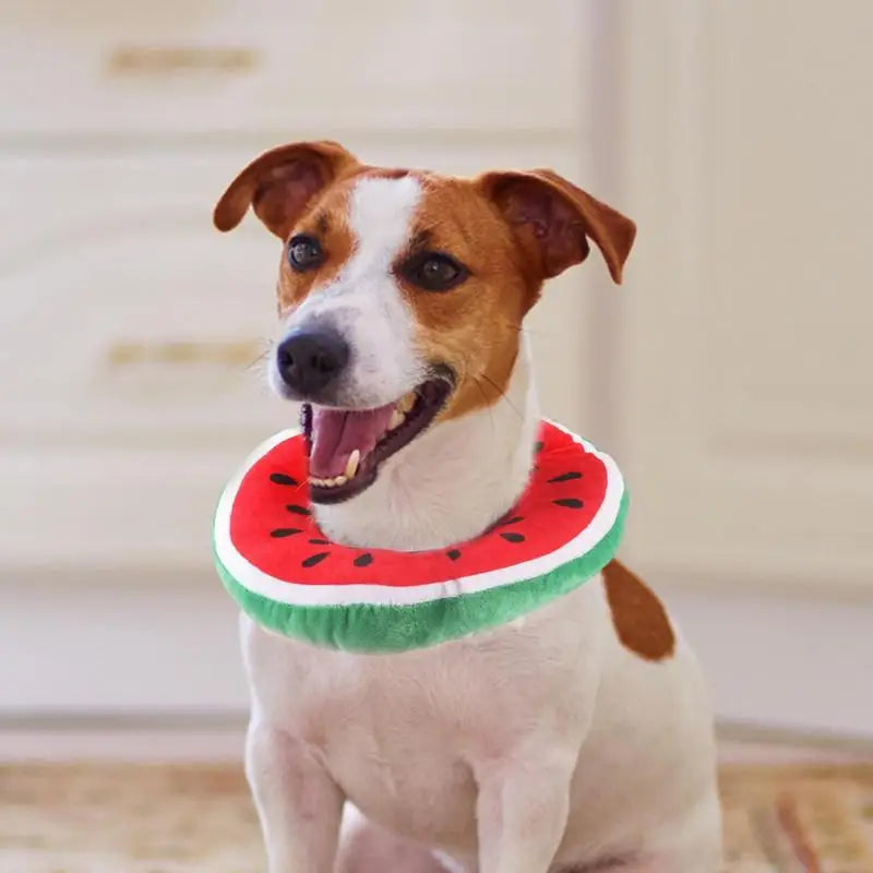 Cat Recovery Collar Protective Cute Collar After Surgeries Soft Adjustable Elizabethan Collars For Kitten Small Dogs
