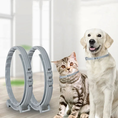 New 38/70cm Pet Anti Flea Ticks Anti-parasitic Dog Collar 8 Month Protection Retractable Collars for Puppy Cat Big Dogs Supplies