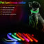 LED Dog Collar USB Rechargeable - Bright & High Visibility Lighted Glow Collar for Small Medium Large Breeds Pet Night Walking