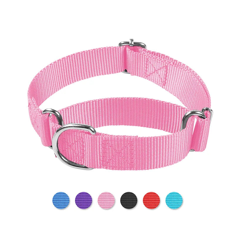 Martingale Heavy Duty Nylon Dog Collar for Small, Medium, Large Breeds Adjustable Safety Training Collar