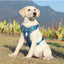 Medium Large Dog Harnesses Collar Labrador Army Reflective Adjustable Harness Oxford Cloth Pet Vest Training Hound Walk the Dog