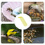 Bee Drinking Station Floating Bee Water Ladder Station Special Design Drinking Water Tool For Pond Any Swimming Pool Bird Bath