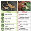 Reptile Carpet Anti-Slip Terrarium Liner Substrate Climbing Animals Breeding For Bearded Turtles Snakes Iguana Tortoises