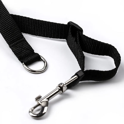 Long Dog Training Leash Tracking Line Puppy Obedience Recall Training Agility Lead 10m 20m 30m 50m Leash for Play Camp Backyard