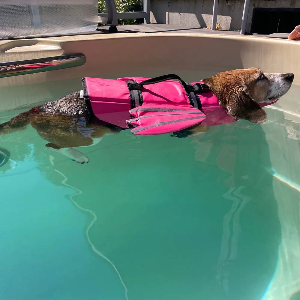 Dog Life Jacket Wings Design Pet Life Vest Dogs Flotation Lifesaver Preserver Swimsuit with Handle for Swim Pool Beach Boating